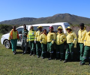 Entrepreneurship Programme Update