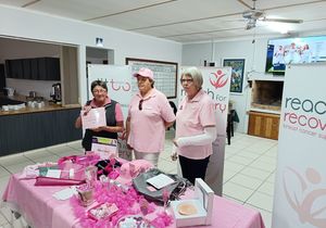 Pienk Rolbaldag vir Borskanker