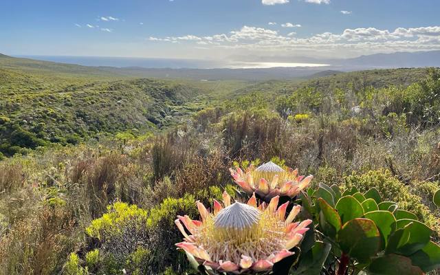 278135806_4926270104159245_4504487217841564145_n_1677062925_1729684953