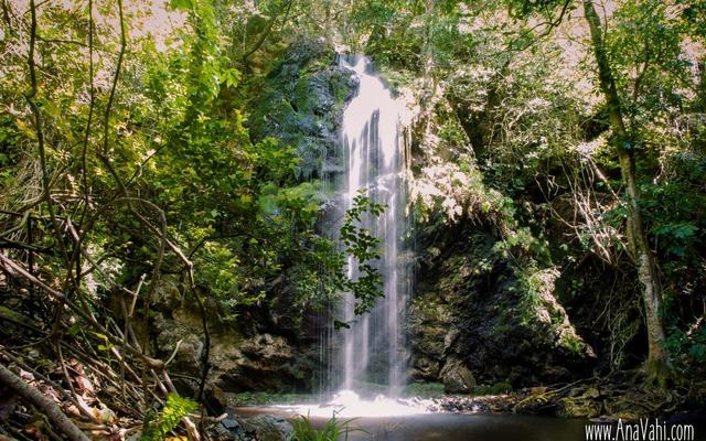 Fynbos_trail_day_3_58_of_185_1_1677062610_1729684954