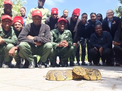 Grootbos Foundation Students Meet a Puffadder