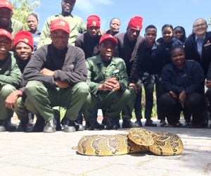 Grootbos Foundation Students Meet a Puffadder
