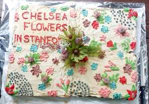 Celebrating Success with a Special Cake!