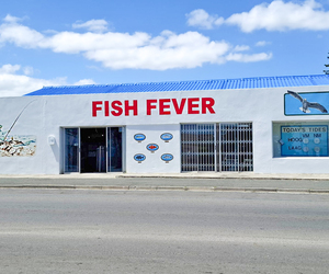Fishing Gear and Christmas Gifts at Fish Fever