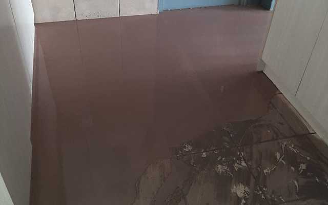 464961619_1187906156050693_2230548142902696626_n_1730213400