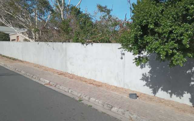 WhatsApp_Image_2024_10_25_at_11.07.29_ee9f0181_1730270222