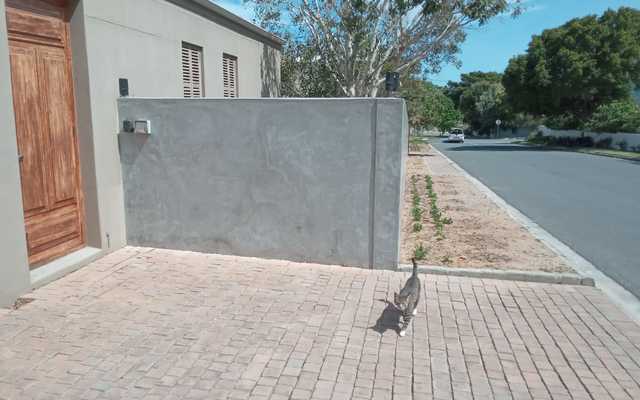 WhatsApp_Image_2024_10_25_at_11.07.30_5135324e_1730270223