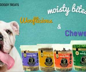 New: Cuthberts Moisty Bites!