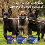 Protect Your Pup from Hair Loss and Mites!