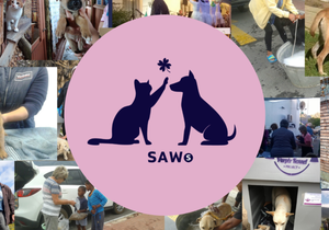 SAWS September 2024 Newsletter