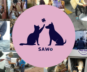 SAWS September 2024 Newsletter
