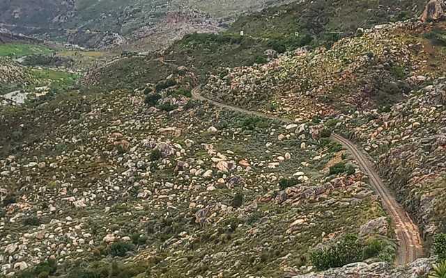 WhatsApp_Image_2024_10_31_at_13.34.55_1730376699