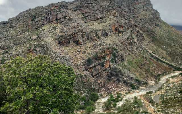 WhatsApp_Image_2024_10_31_at_13.34.55_1_1730376700