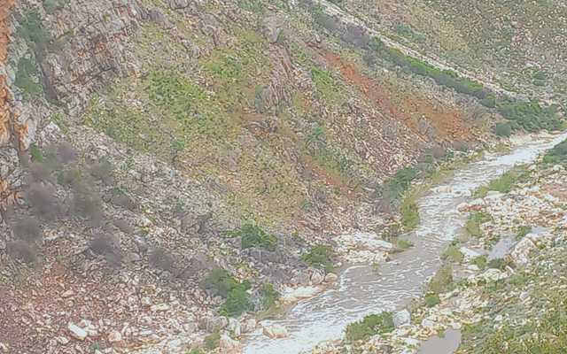 WhatsApp_Image_2024_10_31_at_13.34.56_1730376701