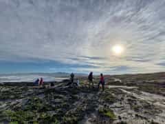 Scenic Beach Hike on 9 November 2024