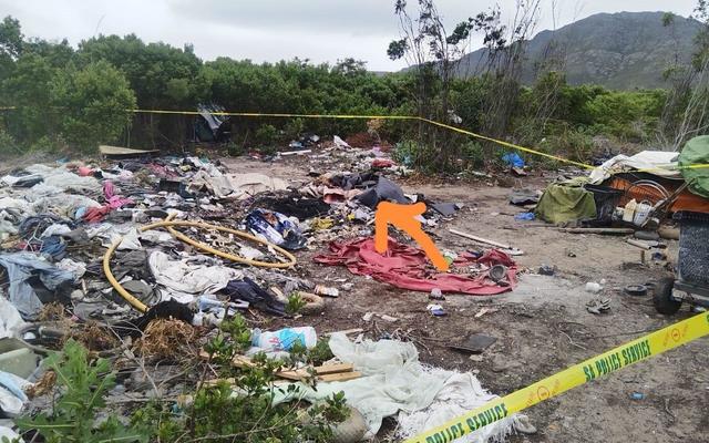 Huismoles2_1730701422