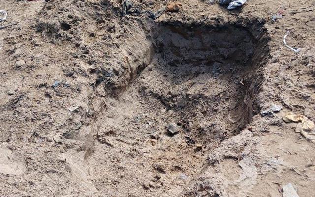 Huismoles5_1730701424