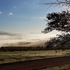 Paardenkloof Vineyards in the Mist - Paardenkloof Estate - Xplorio™ Botrivier