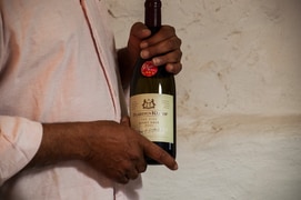 Discover the Magic of PaardenKloof Estate