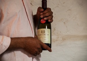 Discover the Magic of PaardenKloof Estate