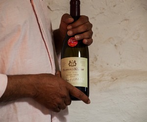 Discover the Magic of PaardenKloof Estate