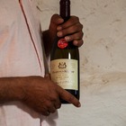 PaardenKloof Shines at Standard Bank WineX - Xplorio™ Botrivier