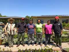 Milkwood Propagation Workshop Unites Greenhouse and Wetland Teams