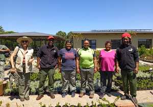 Milkwood Propagation Workshop Unites Greenhouse and Wetland Teams
