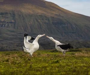 12 November 2024: Marine Evening