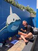 Gansbaai is Looking Gorgeous!