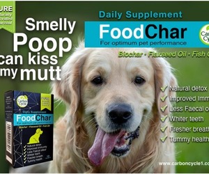 FoodChar: Natural Pet Supplement for Smelly Poop