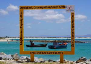 Top December Events in Struisbaai 2024