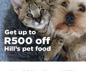 Save Up to R500 on Hill's Pet Food