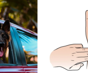 Effective Tips for Preventing Motion Sickness with Essential Oils