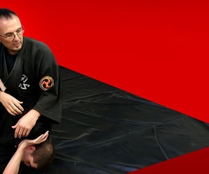 Student Review of Bujinkan Tori Overstrand!