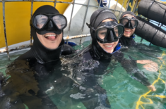 Capture_1__1731326479