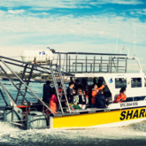 Boat - White Shark Projects - Xplorio™ Gansbaai