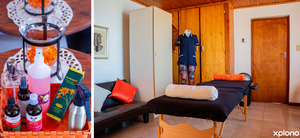 Top Benefits of Massage Therapy for Stress Relief and Pain