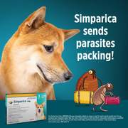 Send Parasites Packing with SIMPARICA!