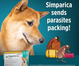 Send Parasites Packing with SIMPARICA!