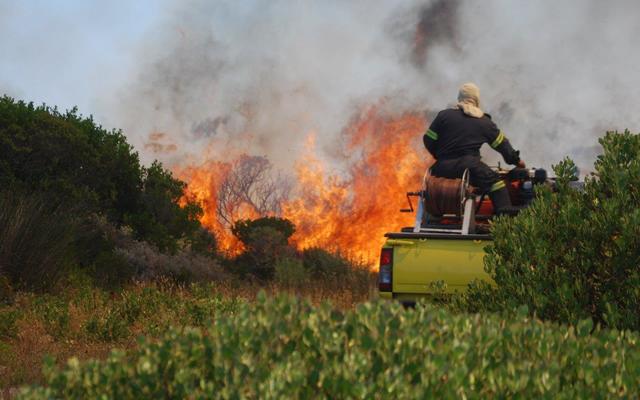 FireSeasonDSC_0711_1731564705