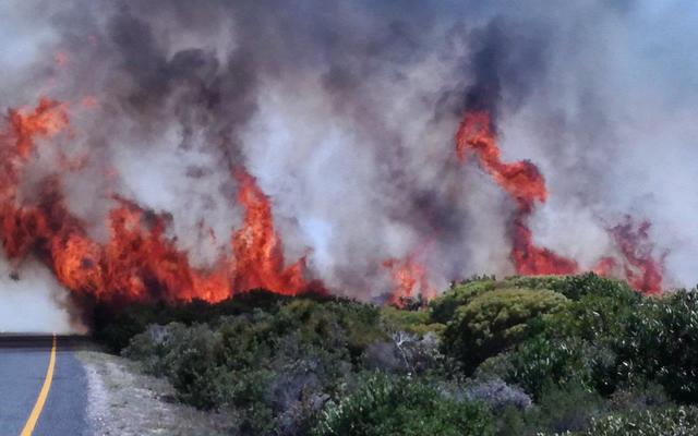 FireSeasonIMG_20180303_120040_1731564706