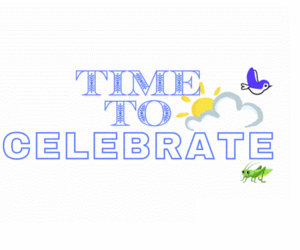 NEWSLETTER | November 2024