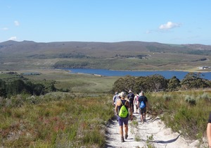 Strandveld Hiking Club: December Hike and Braai