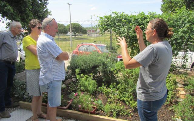 BelgianCouples2_1731913146