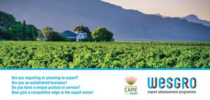 Export Advancement Programme - Free Training December 2024