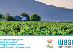 Export Advancement Programme - Free Training December 2024