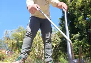 Mole Snake Encounter at Grootbos Foundation