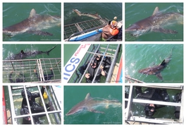 Daily Blog: 18 November 2024