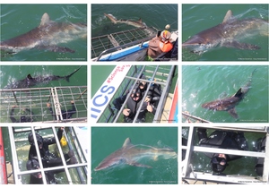 Daily Blog: 18 November 2024